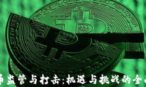 
虚拟币监管与打击：机遇与挑战的全面解析